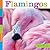 Flamingos
