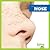 Nose (Bullfrog Books: Your Amazing Body)