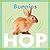 Bunnies Hop (Amicus Ink Board Books)