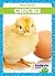 Chicks (Farm Babies)