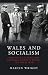 Wales and Socialism: Political Culture and National Identity Before the Great War (Studies in Welsh History Book 35)