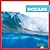 Oceans (Ecosystems)