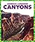 Canyons (Legendary Landforms)