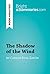 The Shadow of the Wind by Carlos Ruiz Zafón (Book Analysis) by Bright Summaries