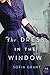 The Dress in the Window