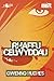 Rhaffu Celwyddau (Mellt) (Welsh Edition)
