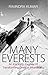 Many Everests by Ravindra Kumar