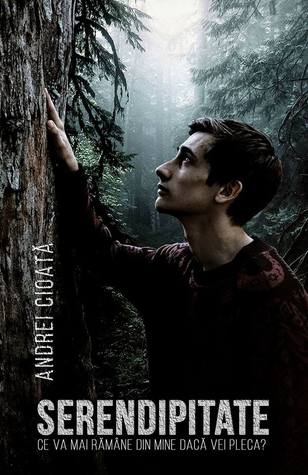 Serendipitate (Paperback)