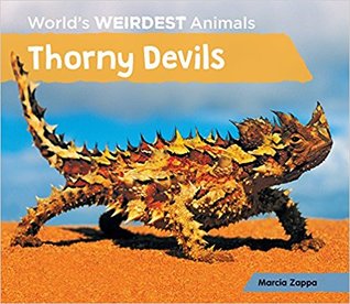 Thorny Devils (World's Weirdest Animals)