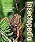 Insectopedia – The secret world of southern African insects