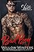 Bad Boy by Willow Winters