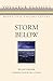 Storm Below (Voyageur Classics Book 15)