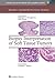 Biopsy Interpretation of Soft Tissue Tumors (Biopsy Interpretation Series)