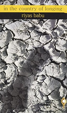 in the country of longing (Paperback)