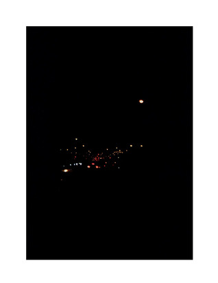 Chamomile Flowers Play Street Lamps & All the Shapes Yr Face Made When You Sounded out Their Name