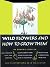 Wild Flowers & How to Grow Them by Edwin F. Steffek Wild Flowers & How to Grow Them by Edwin F. Steffek