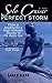 Perfect Storm (Solo Cruiser Book 2)