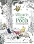 Winnie The Pooh A Colouring Book