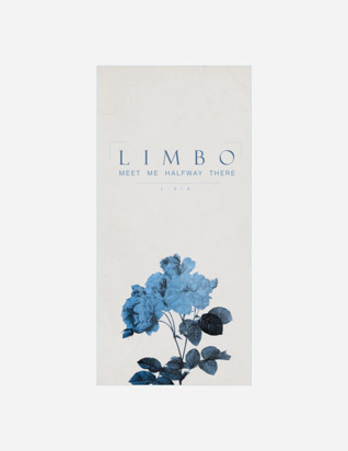 Limbo: Meet Me Halfway There