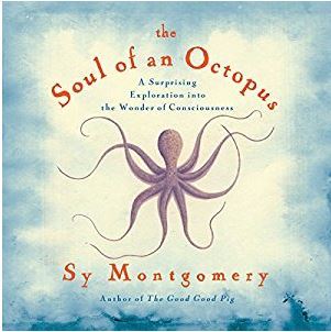 Capa do Livro The Soul of an Octopus: A Surprising Exploration into the Wonder of Consciousness
