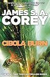 Cibola Burn