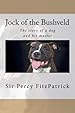 Image for Jock of the Bushveld