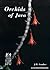 Orchids of Java