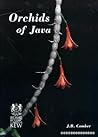 Orchids of Java