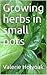 Growing Herbs in Small Pots