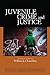 Juvenile Crime and Justice ...