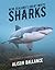 New Zealand's Great White Sharks by Alison Ballance