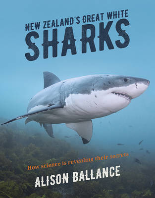 New Zealand's Great White Sharks