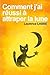 Comment j'ai réussi à attraper la lune by Laurence Labbe