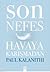 Son Nefes Havaya Karışmadan by Paul Kalanithi