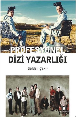 Profesyonel Dizi Yazarlığı (Paperback)