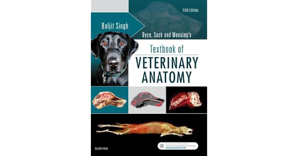 Dyce, Sack and Wensing's Textbook of Veterinary Anatomy EBook by
