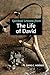 Spiritual Lessons from the Life of David