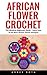 African Flower Crochet: The Absolute Beginners Guide - Learn How To Do Basic African Flower Hexagon