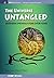 The Universe Untangled by Abigail Pillitteri