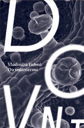 Do vnitrozemí (Unknown Binding)