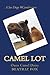 Camel Lot: A San Diego #Cam...