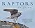 Raptors In Focus by Dick Forsman
