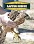 Raptor Rescue (Xtreme Raptors)