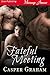 Fateful Meeting (Siren Publishing Menage Amour ManLove)