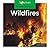 Wildfires (Natural Disasters)