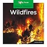 Wildfires (Natural Disasters) Wildfires (Natural Disasters)