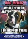 Memes: Funny and Cute Animal Memes: Hilarious Dog, Cat, and Critter Memes Memes: Funny and Cute Animal Memes: Hilarious Dog, Cat, and Critter Memes