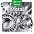 Metal (Materials)