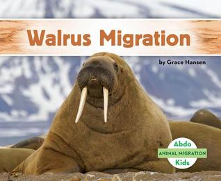 Walrus Migration (Animal Migration)