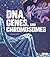 DNA, Genes, and Chromosomes (Genetics)